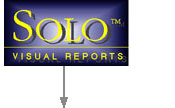 Solo Product Logo